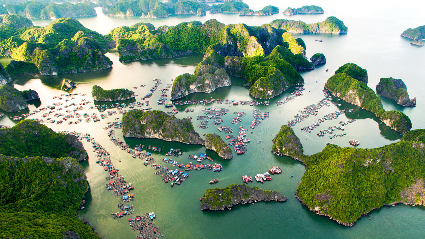 VietNam (VN) eSim