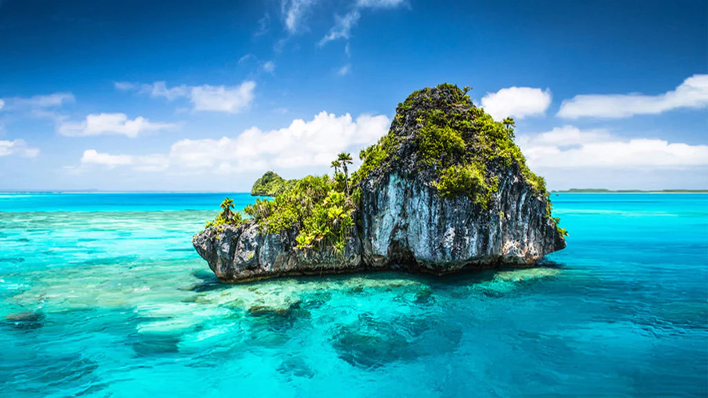 Fiji (FJ) eSim