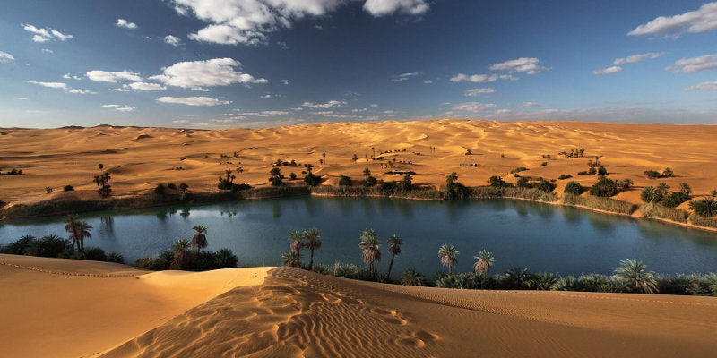 Niger (NE) eSim